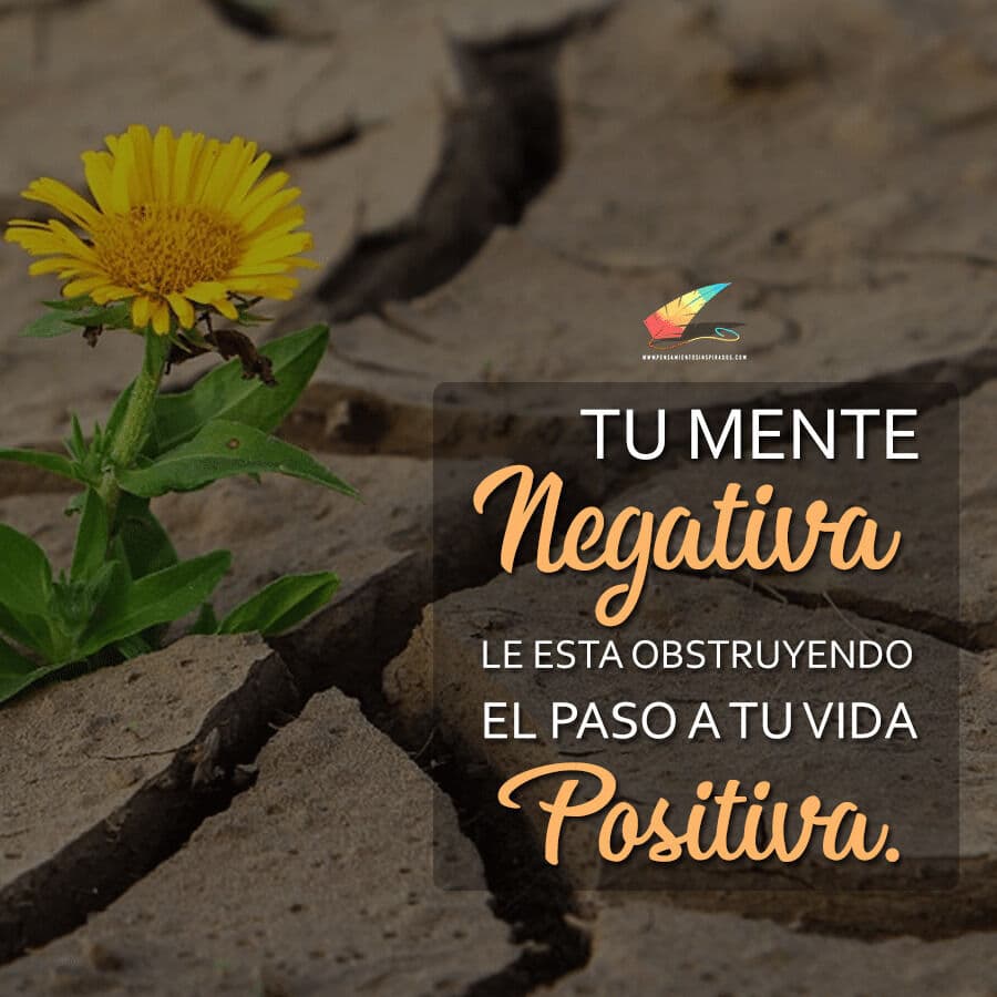 Tu mente negativa le esta obstruyendo el paso a tu vida positiva.