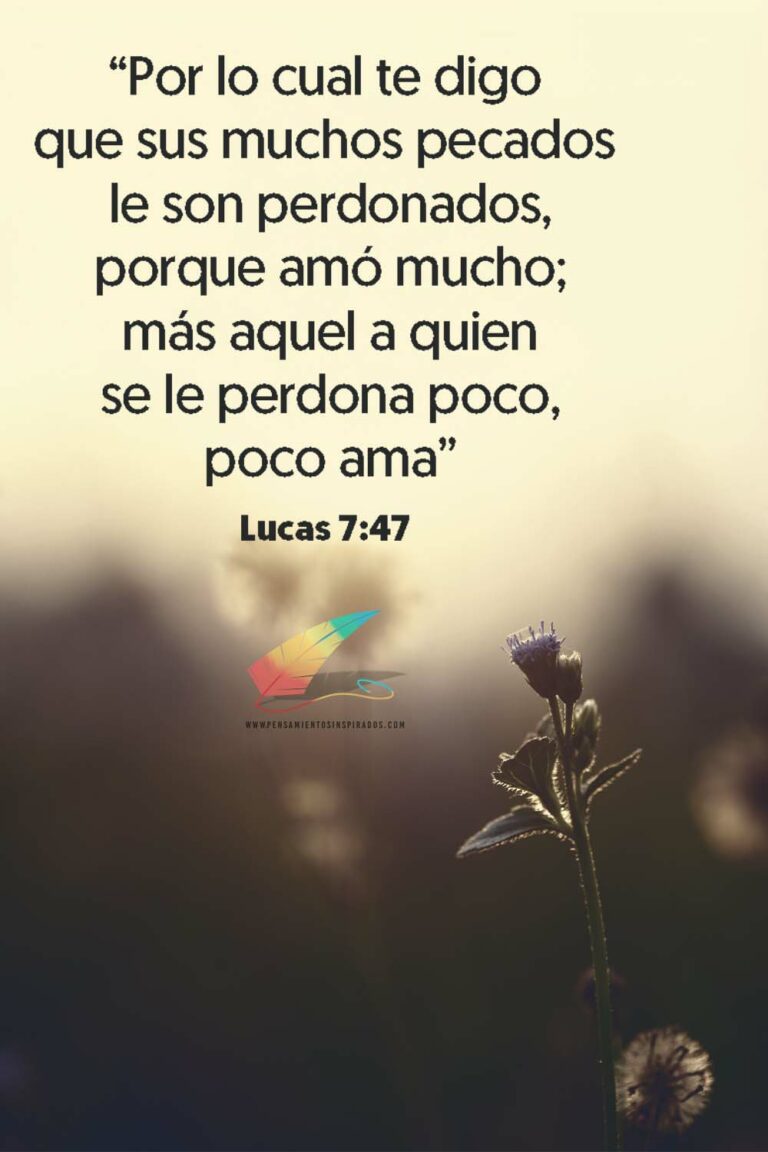 10 Versiculos Biblicos Sobre El Perdon | Pensamientos Inspirados