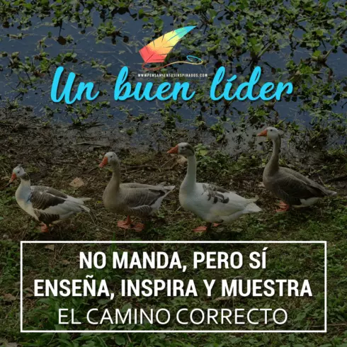 Un buen líder no manda, pero si enseña, inspira y muestra el camino correcto.