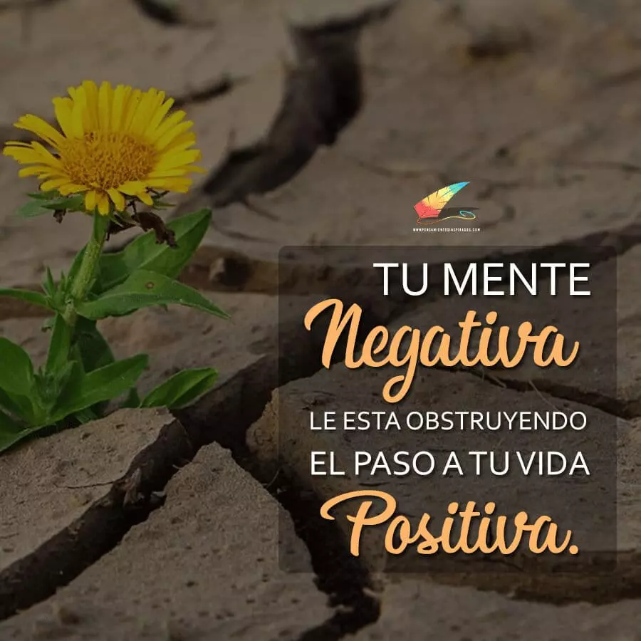 Tu mente negativa le esta obstruyendo el paso a tu vida positiva.