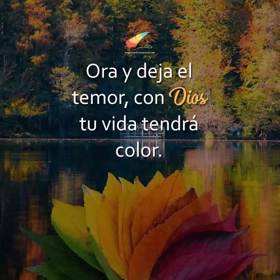 Ora y deja el temor, con Dios tu vida tendrá color.