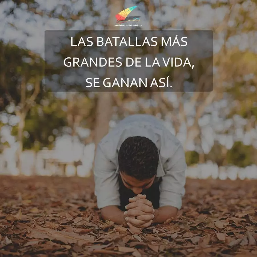 Las batallas mas grandes de la vida, se ganan así.